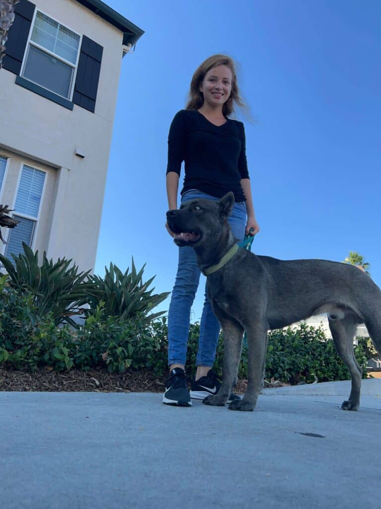 Shelleen Peterson - Dog Trainer-Dog Behaviorist-San Deigo