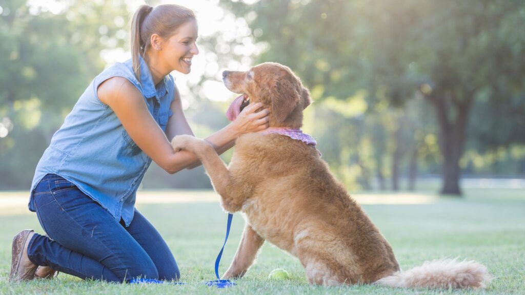 Pick Your Dog Up Whenever You Want