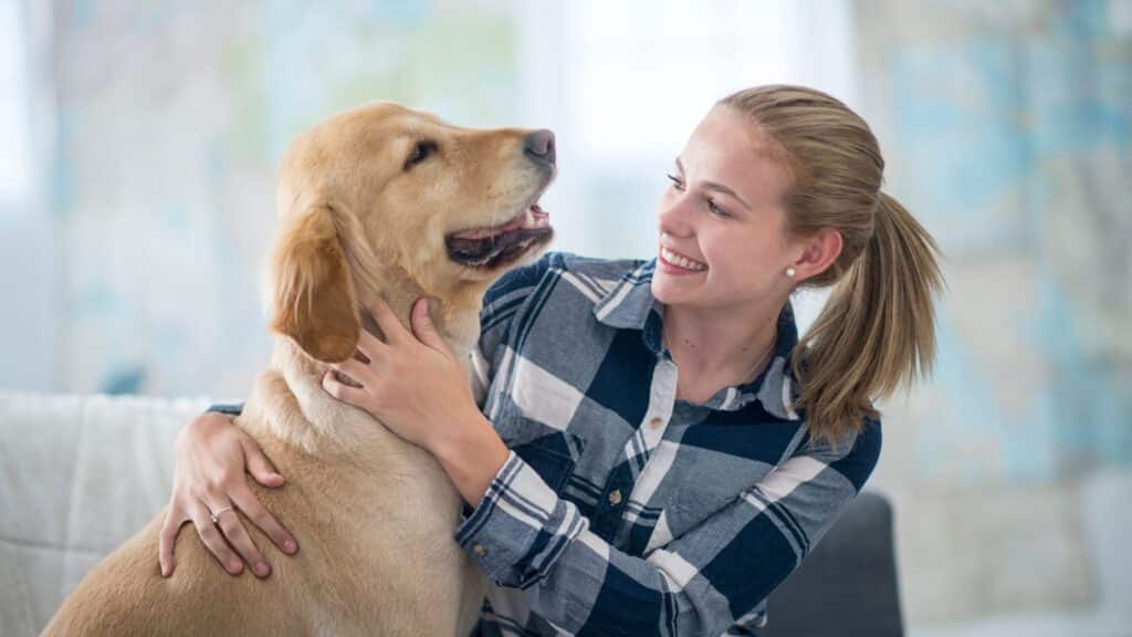 Start Your Dogs Board and Train Journey Today