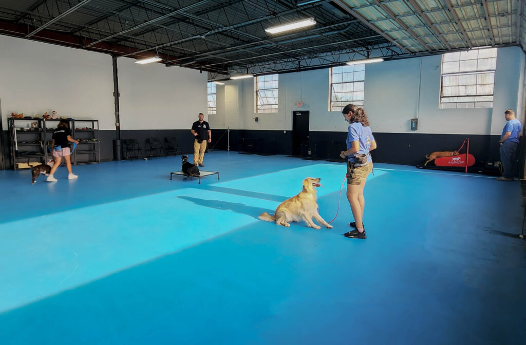K9 Mania Dog Training Facility - Inside 5