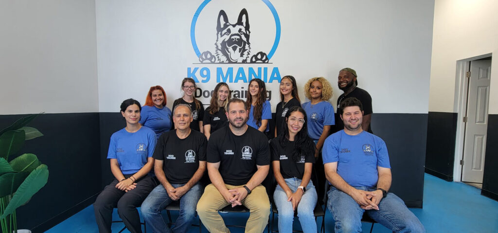 K9 Mania Dog Training - Trainers