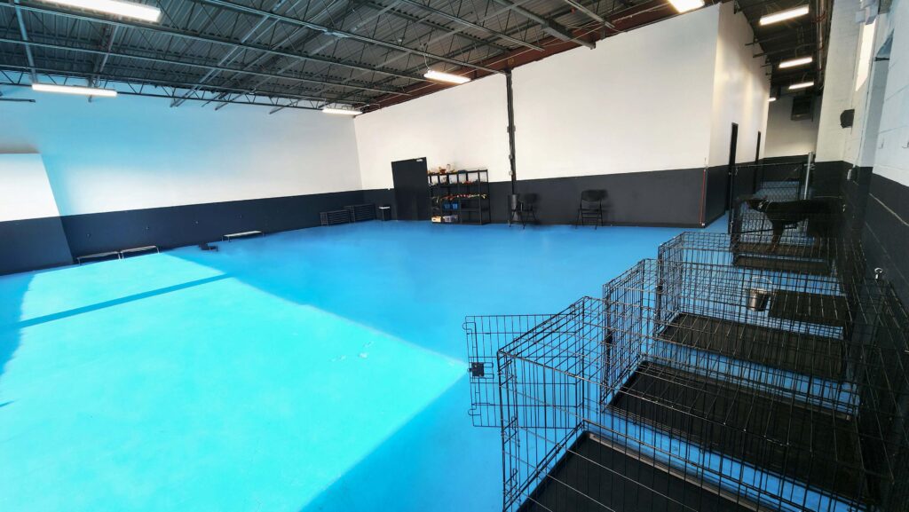 K9 Mania Dog Training Facility - Inside - Board and Train_2