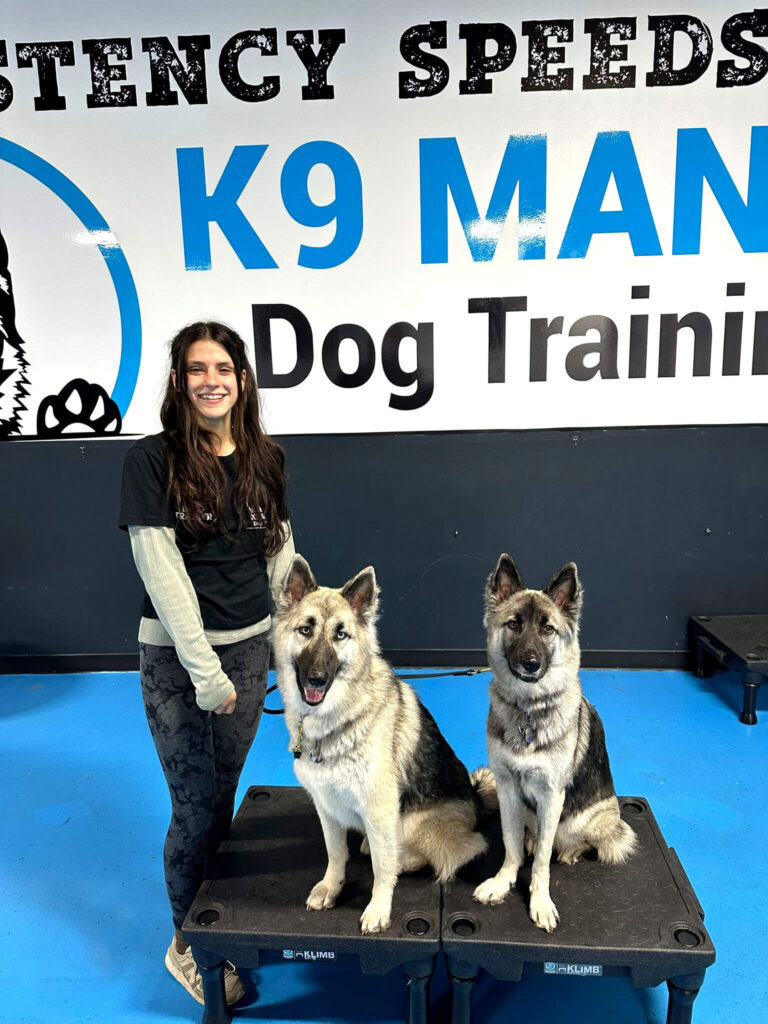 Ashlee Ottaviano - Head Dog Trainer and Dog Behaviorist