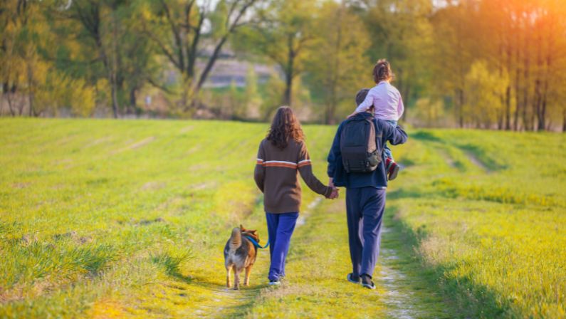 Take a walk in the park with dog