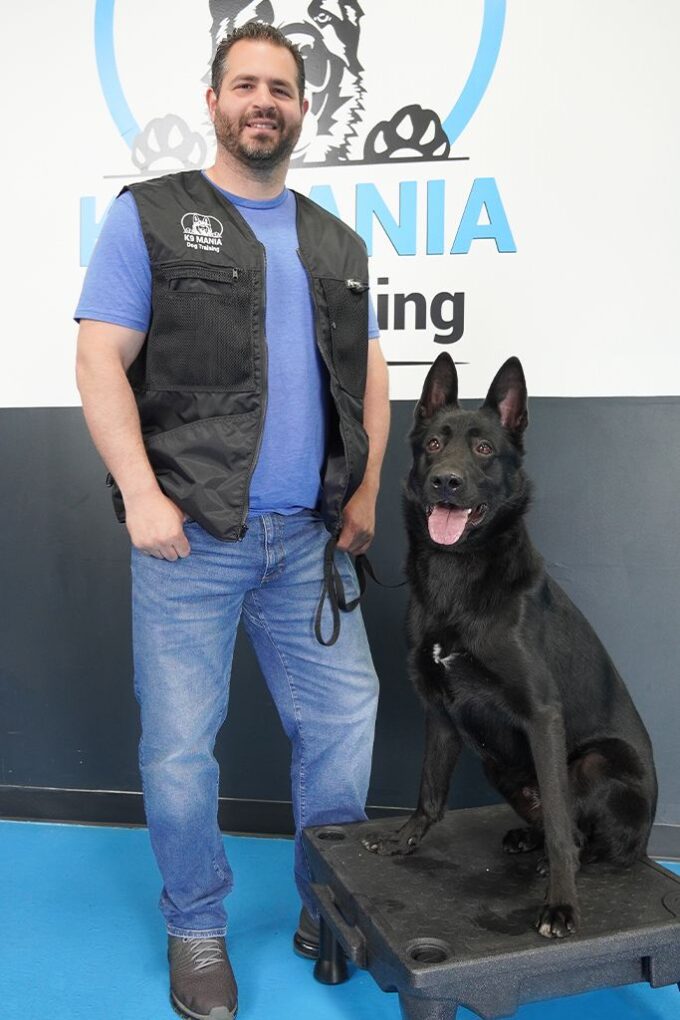 A man in a blue shirt and black vest stands next to a large black canine sitting on a platform. They are indoors in front of a wall featuring a dog training logo, highlighting their focus on canine training and behavior.