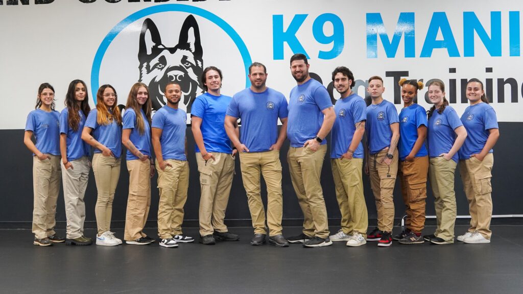 our team - K9 mania dog training trainers