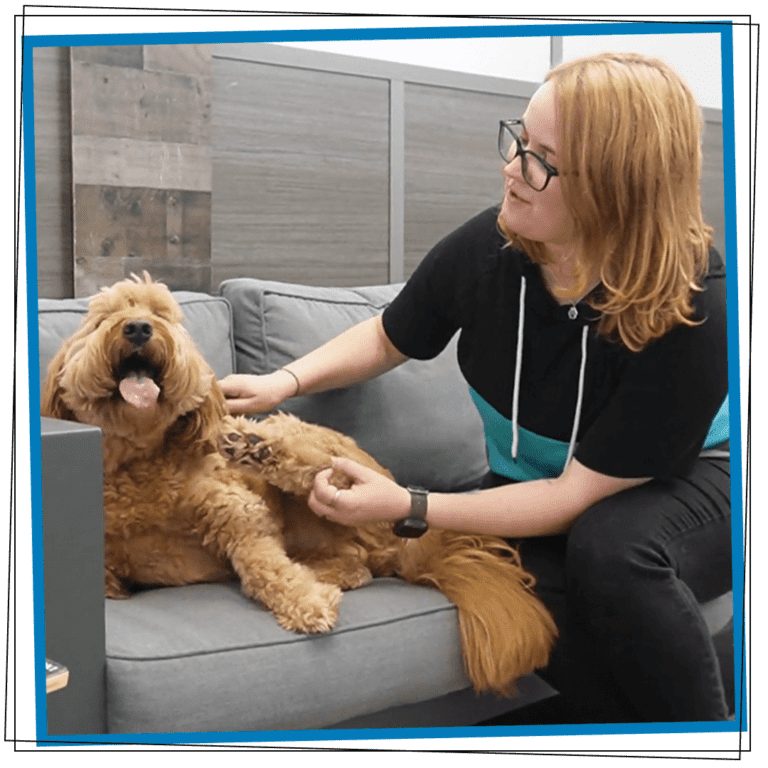 A person with glasses sits on a gray sofa, smiling and holding up the paw of their fluffy, happy brown canine, who lies beside them with its tongue out.