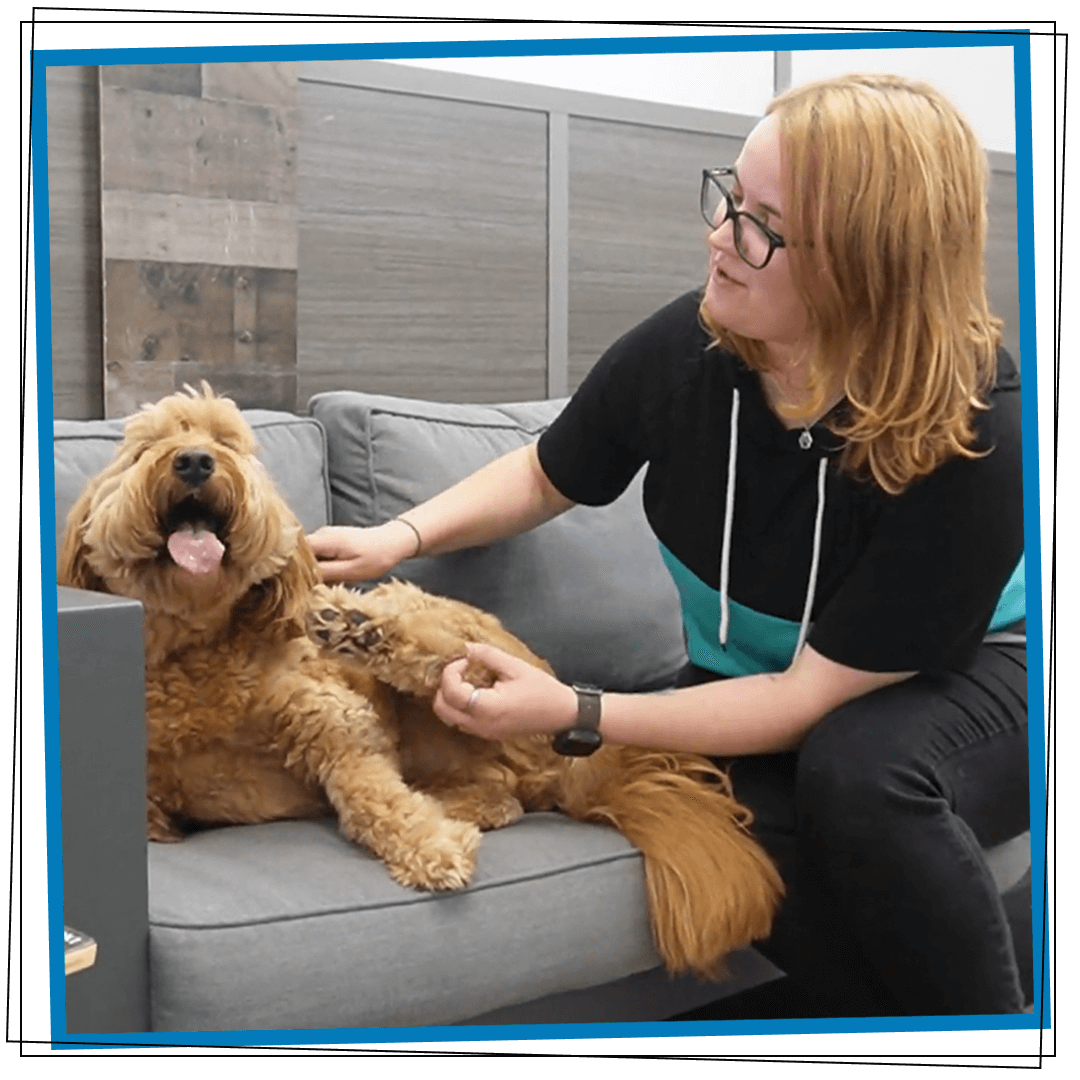 A person with glasses sits on a gray sofa, smiling and holding up the paw of their fluffy, happy brown canine, who lies beside them with its tongue out.