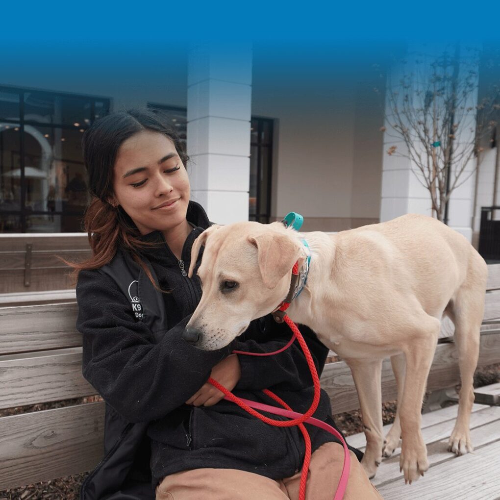 How to Stop Leash Pulling in Dogs: The Proven Training Guide 4 man giving treats for a dog on the leash