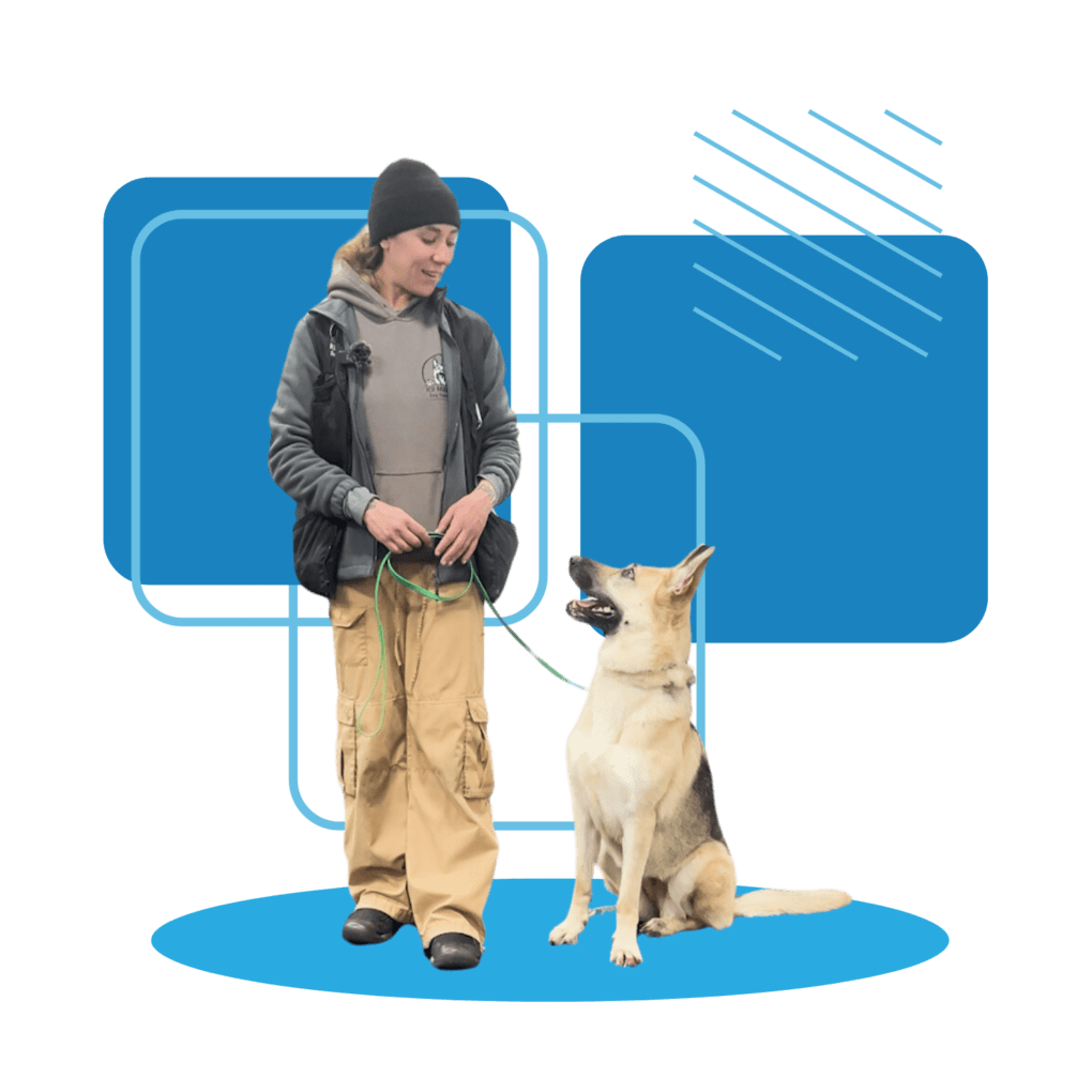 dog-reactivity-training-long-island-k9-mania-dog-training