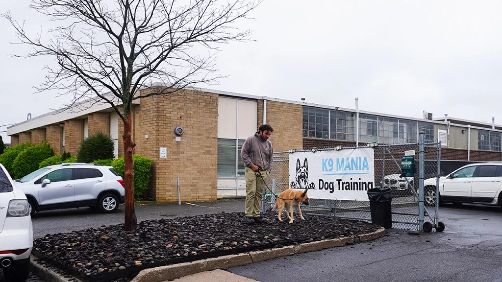 Dog Training - Suffolk County, NY