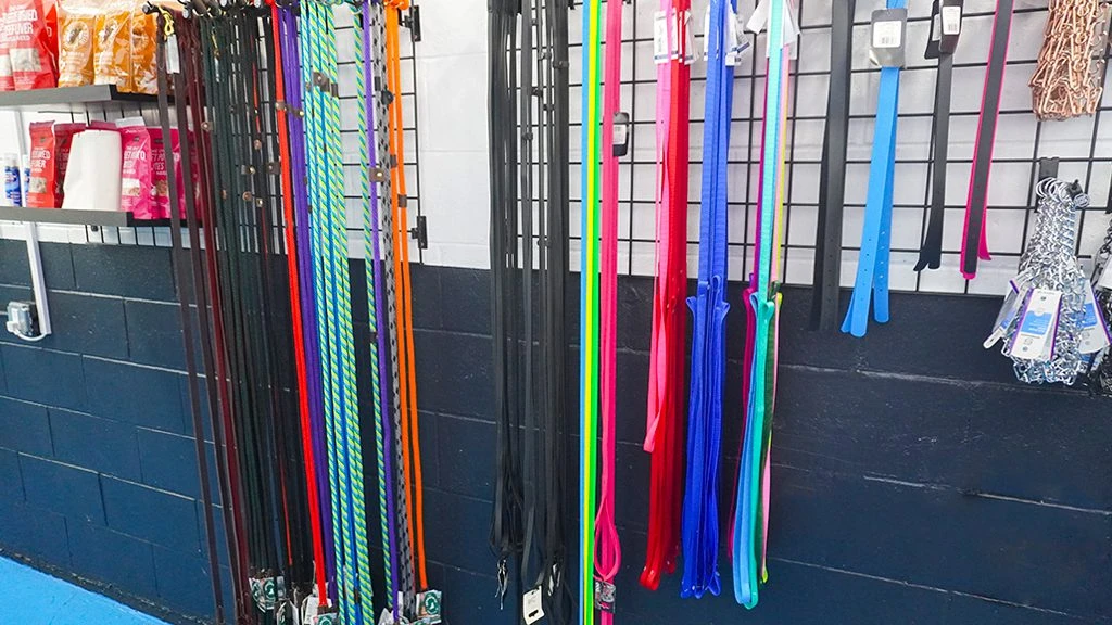 Dog Leashes Displays - Suffolk County, NY