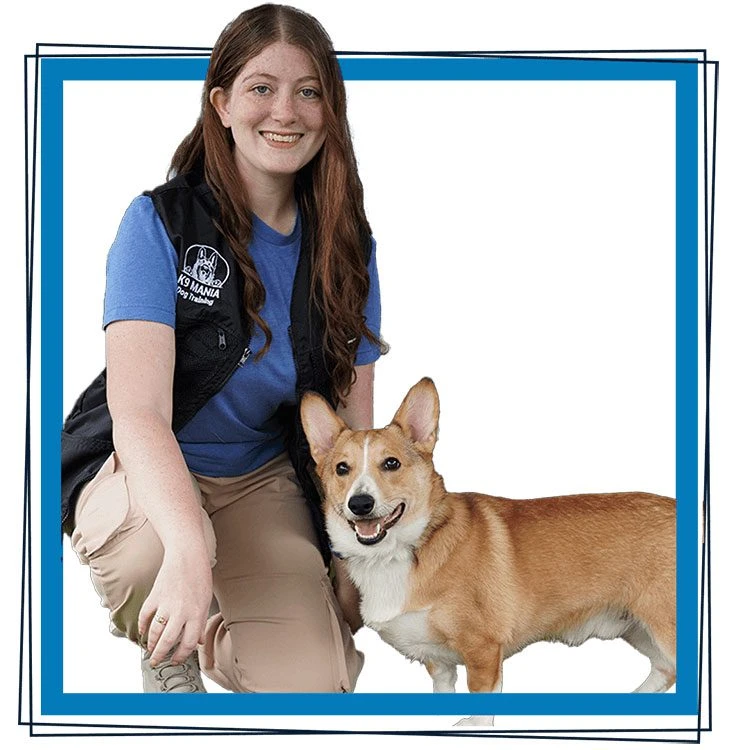 A woman with long brown hair, wearing a blue shirt, beige pants, and a black vest, kneels next to her smiling brown and white corgi puppy. Both look at the camera against a white background with a blue frame, showcasing their bond and obedience.