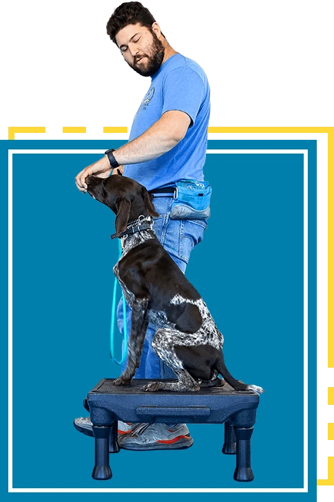 Dog Training