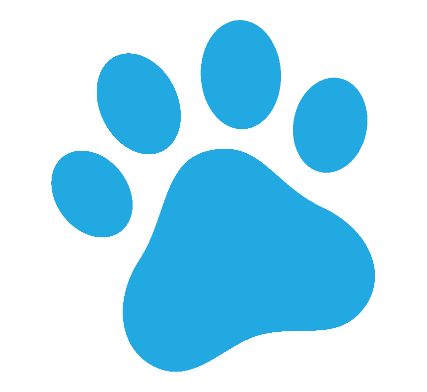 Puppy Training 3 paw