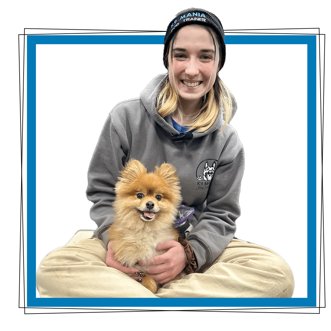 Puppy Training 1 Puppy Training Graphics