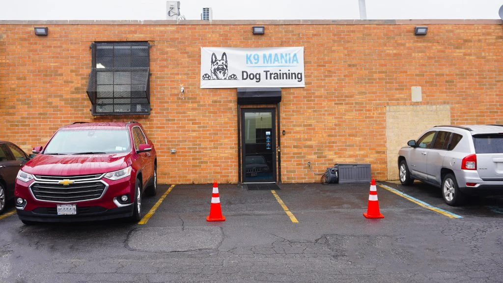 Dog Training Facility - Suffolk County, NY