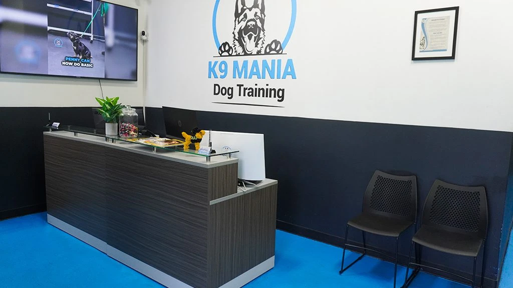 Dog Training Facility - Suffolk County, NY