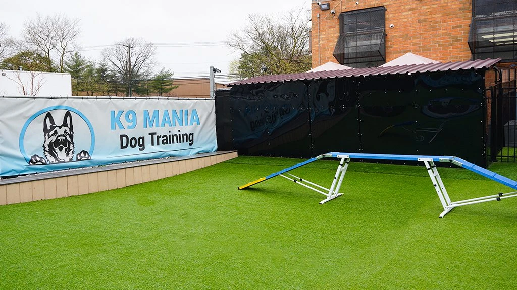 Dog Training Facility - Suffolk County, NY