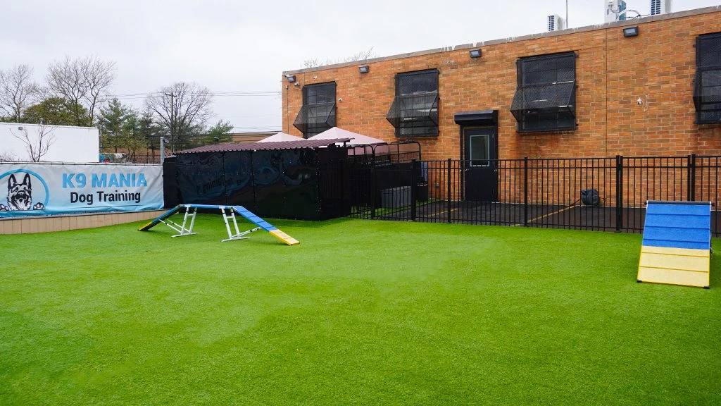Dog Training Facility - Suffolk County, NY