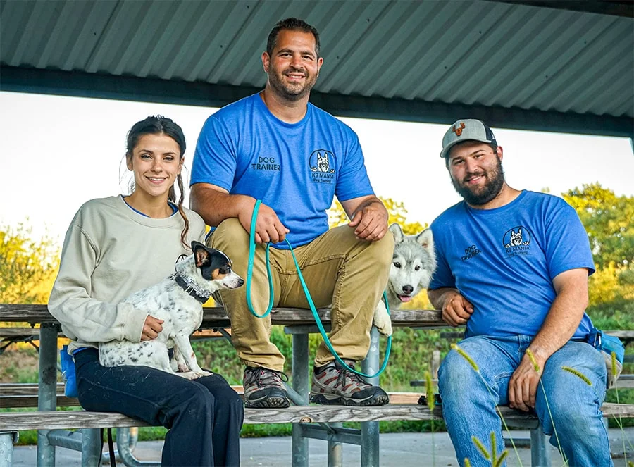 Team Dog Trainers