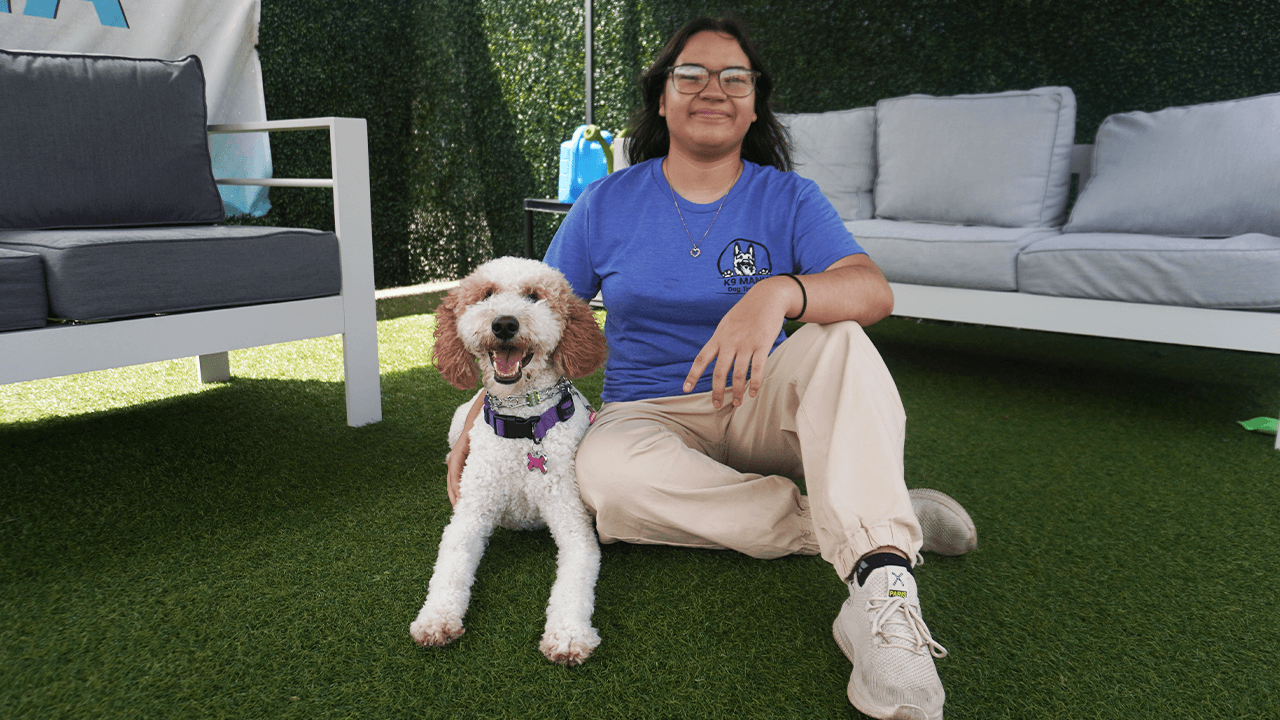A person wearing glasses, a blue shirt, and khaki pants sits on artificial grass next to a white and brown curly-haired puppy. They both look at the camera, with outdoor couches and green hedges in the background.