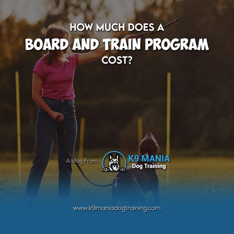 Dog board and train cost hotsell