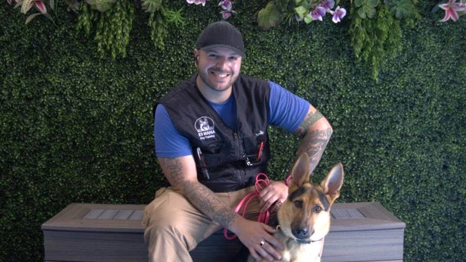 A smiling man in a black cap and vest sits on a bench, gently holding his German Shepherd on a pink leash. The dogs enjoy some peaceful downtime in front of a leafy green wall decorated with pink and white flowers.