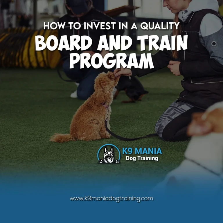A small brown dog sits on grass while a person kneels and gives a treat. Text reads: "How to invest in quality puppy training with a board and train program. K9 Mania Dog Training." Logo and website are displayed below.