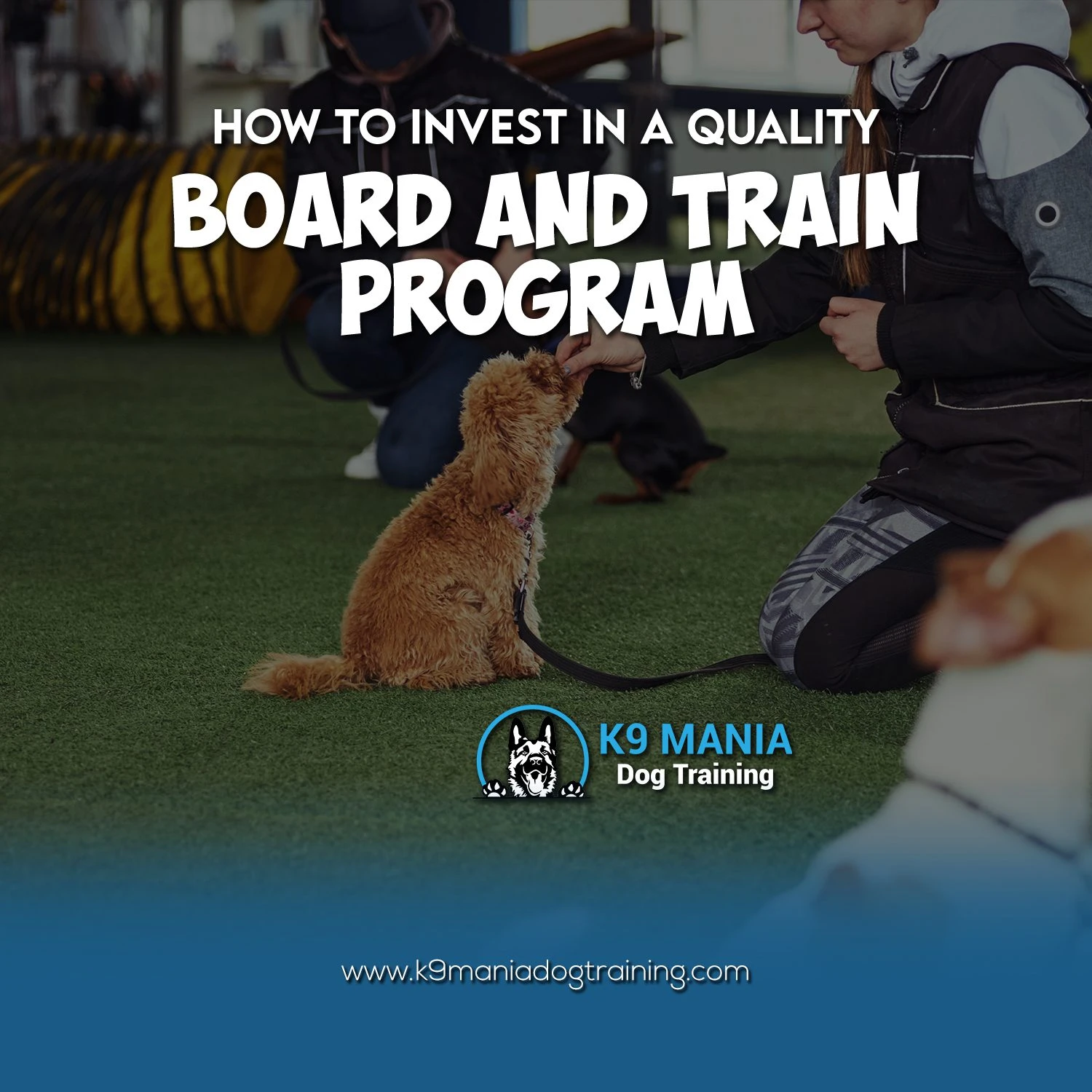 A small brown dog sits on grass while a person kneels and gives a treat. Text reads: "How to invest in quality puppy training with a board and train program. K9 Mania Dog Training." Logo and website are displayed below.