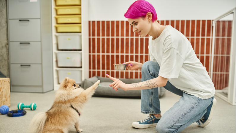 A person with short pink hair kneels on the floor holding a dog treat, training a small fluffy canine who is lifting its paw. Dog toys are scattered nearby in a clean, indoor space.