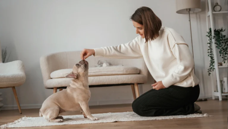 A woman in a white sweater kneels on a rug in a living room, holding a treat above her canine companion’s head as the dog sits and looks up in obedience. The room is decorated in neutral tones.