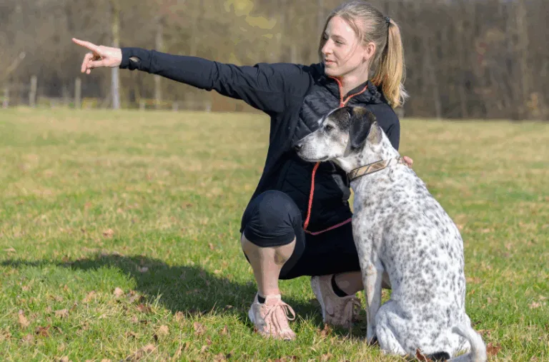 A woman kneels on grass beside a large white and black dog during an obedience training session, pointing into the distance while the attentive dog sits at her side. Trees and a field are visible in the background.