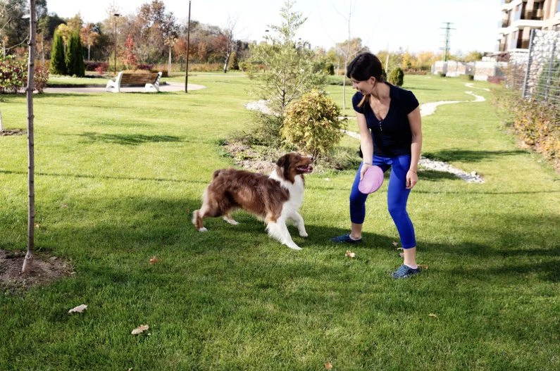 A woman and her dog playing fetch in a grassy field, smiling and enjoying a safe, fun outdoor activity together. The dog eagerly chases after the ball, while the woman watches with excitement