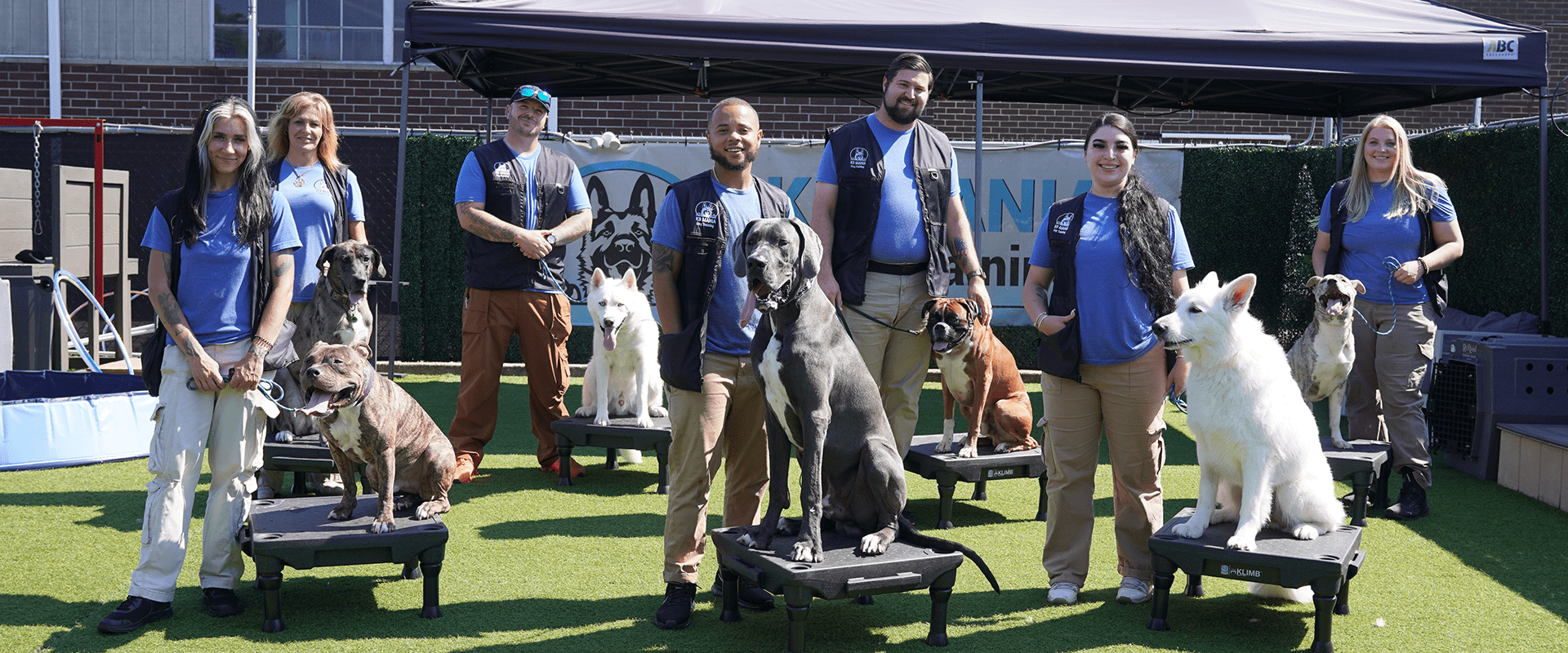 In Home Dog Training Babylon, NY 5 Eight people in blue shirts and vests stand outdoors on artificial grass, each beside a different dog breed sitting on raised platforms. A tent and a banner with a dog logo are visible in the background. Contact Us to learn more.