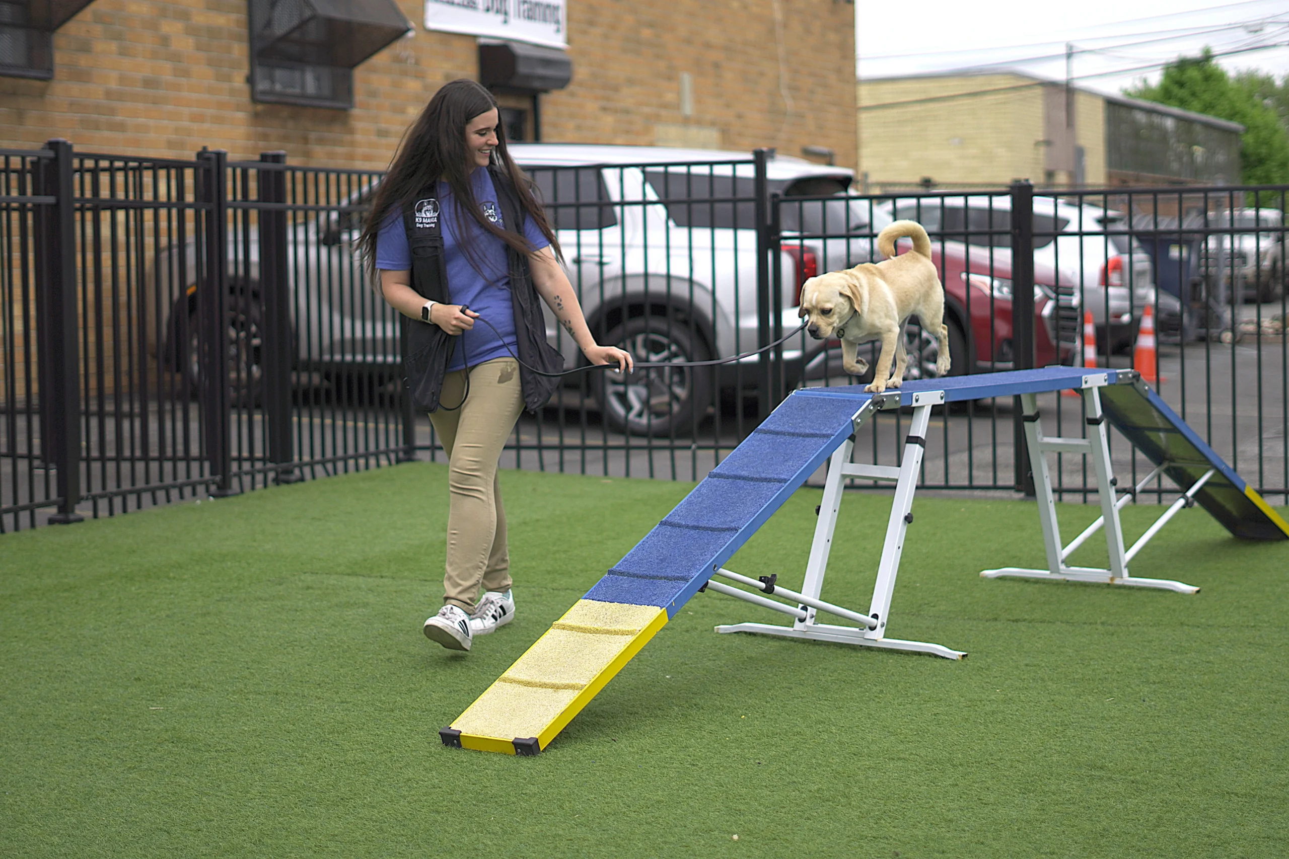 K9 Mania’s Board-and-Train City program provides expert dog training in real city settings, helping dogs adapt to urban life and improving behavior in public spaces