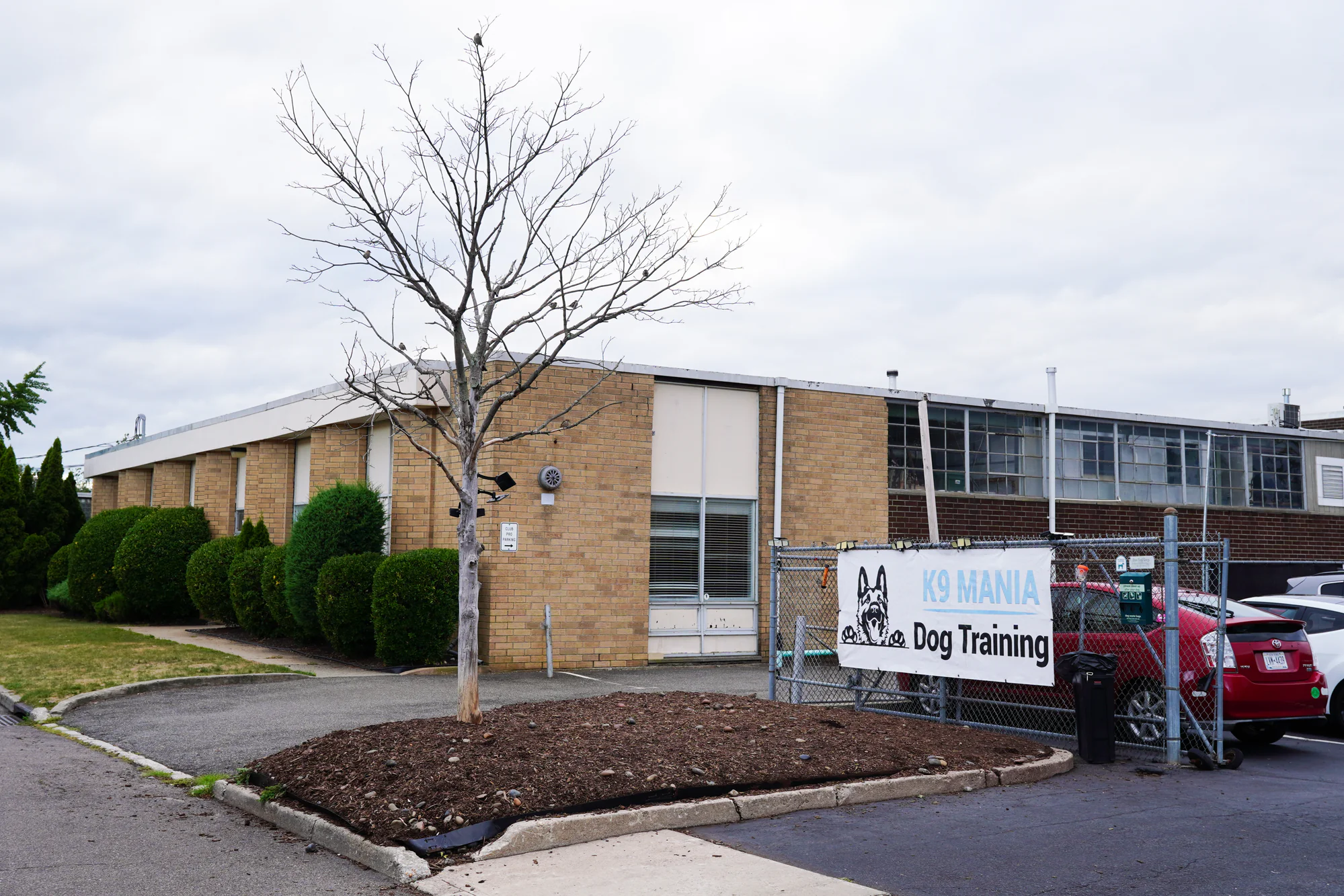Our Certification 18 Professional dog training facility at K9 Mania Dog Training in Suffolk County New York