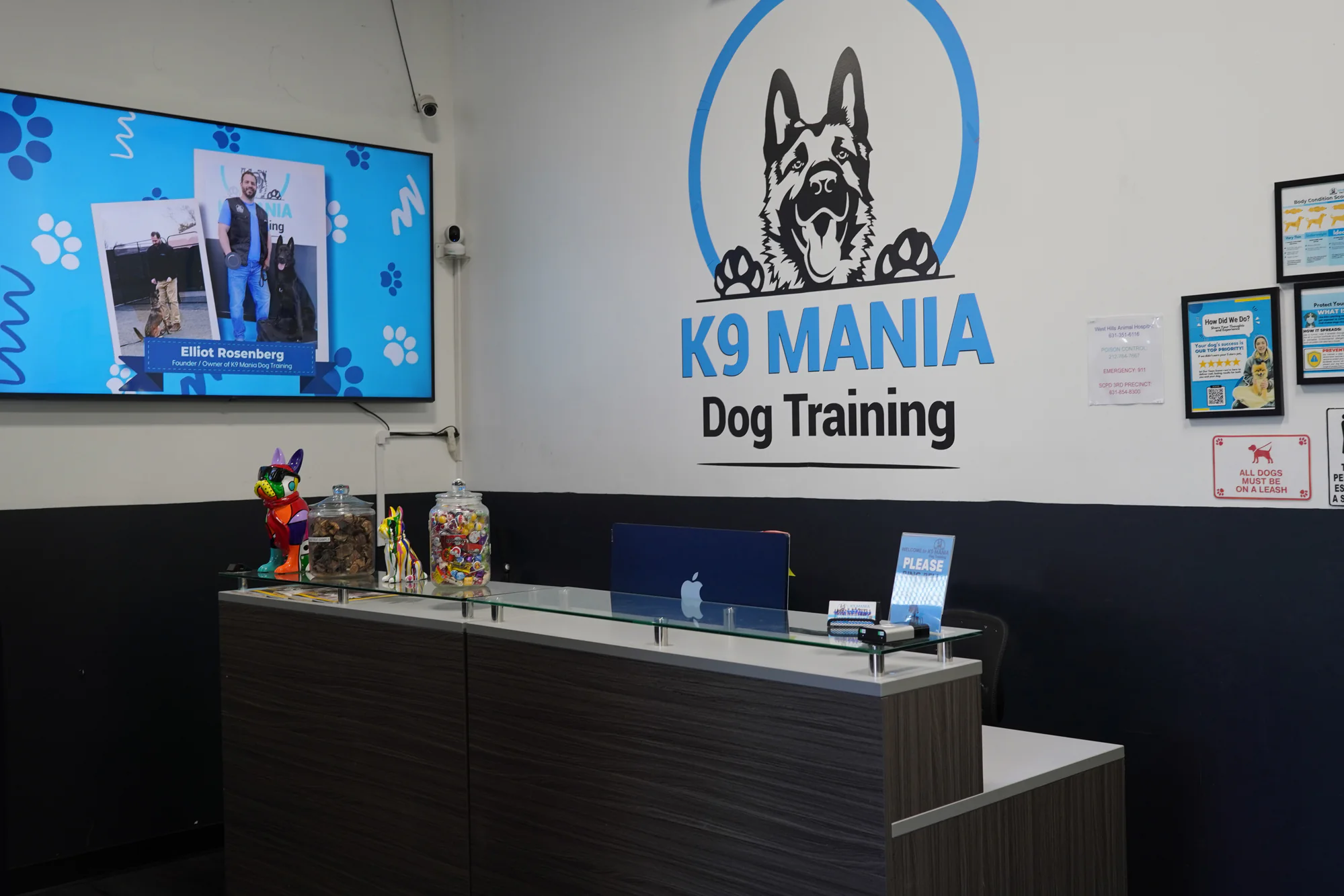 Our Certification 17 Dog training facility lobby at K9 Mania Dog Training in Suffolk County New York