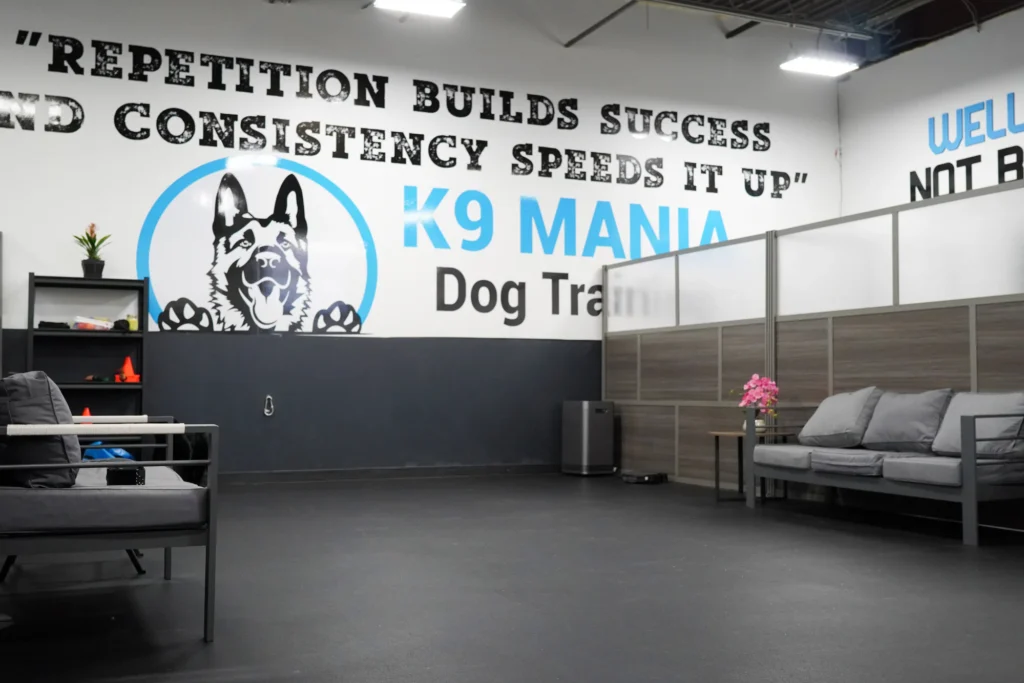 Our Commitment to Safety 2 Inside the K9 Mania Dog Training Room in Long Island, NY, where expert trainers guide dogs through tailored behavior courses in a safe, controlled environment for effective learning