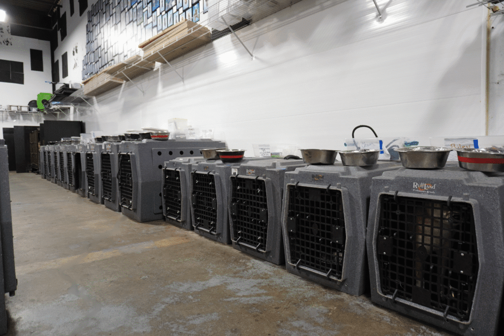 Our Commitment to Safety 4 Spacious, clean kennels designed for comfort and safety, providing a calm environment for dogs in training at K9 Mania Dog Training
