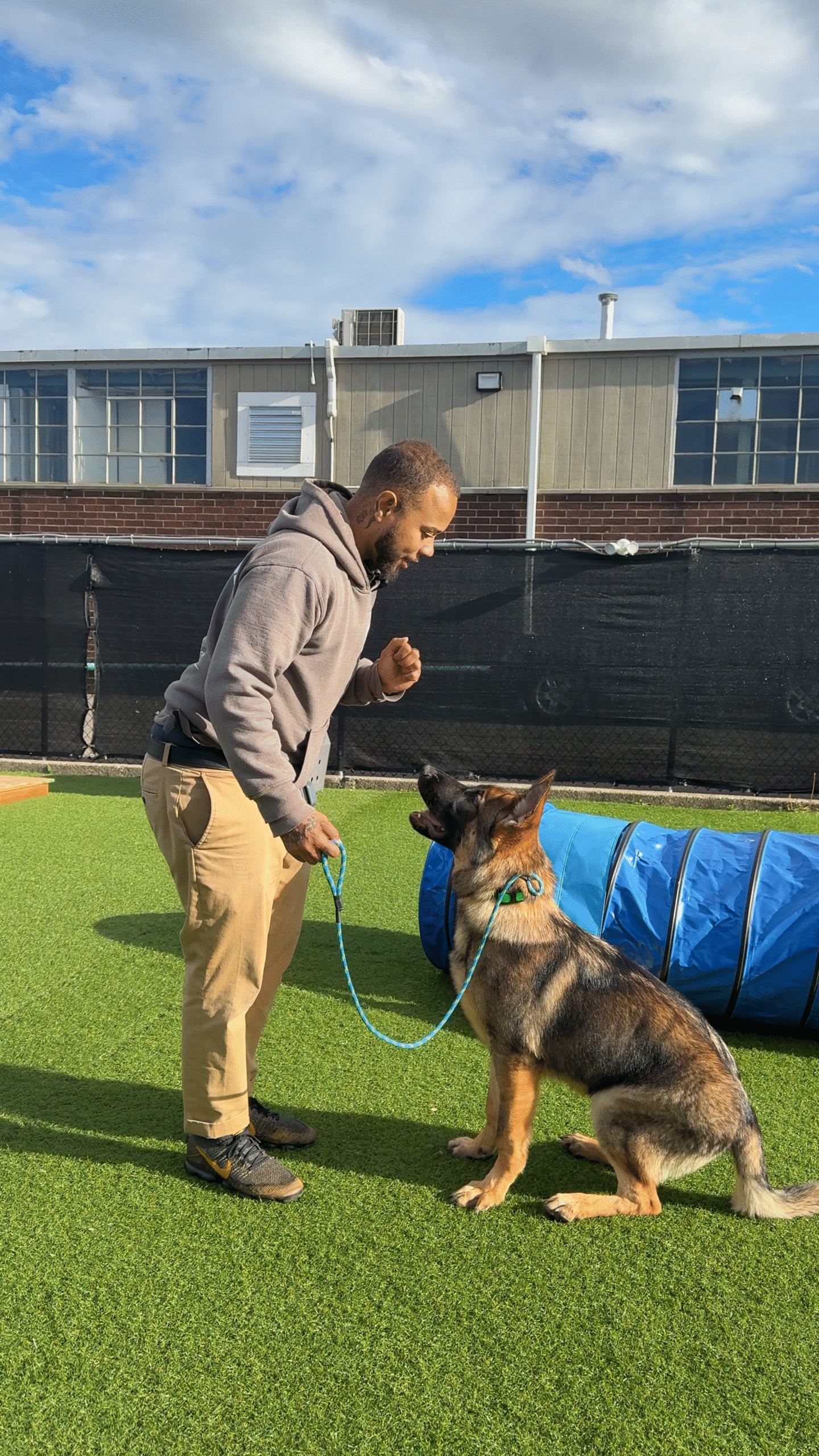 Board And Train Herricks, NY 5 A man in a gray hoodie and khaki pants trains a German Shepherd sitting on artificial grass, holding its leash near a blue tunnel, with a building and sky in the background.