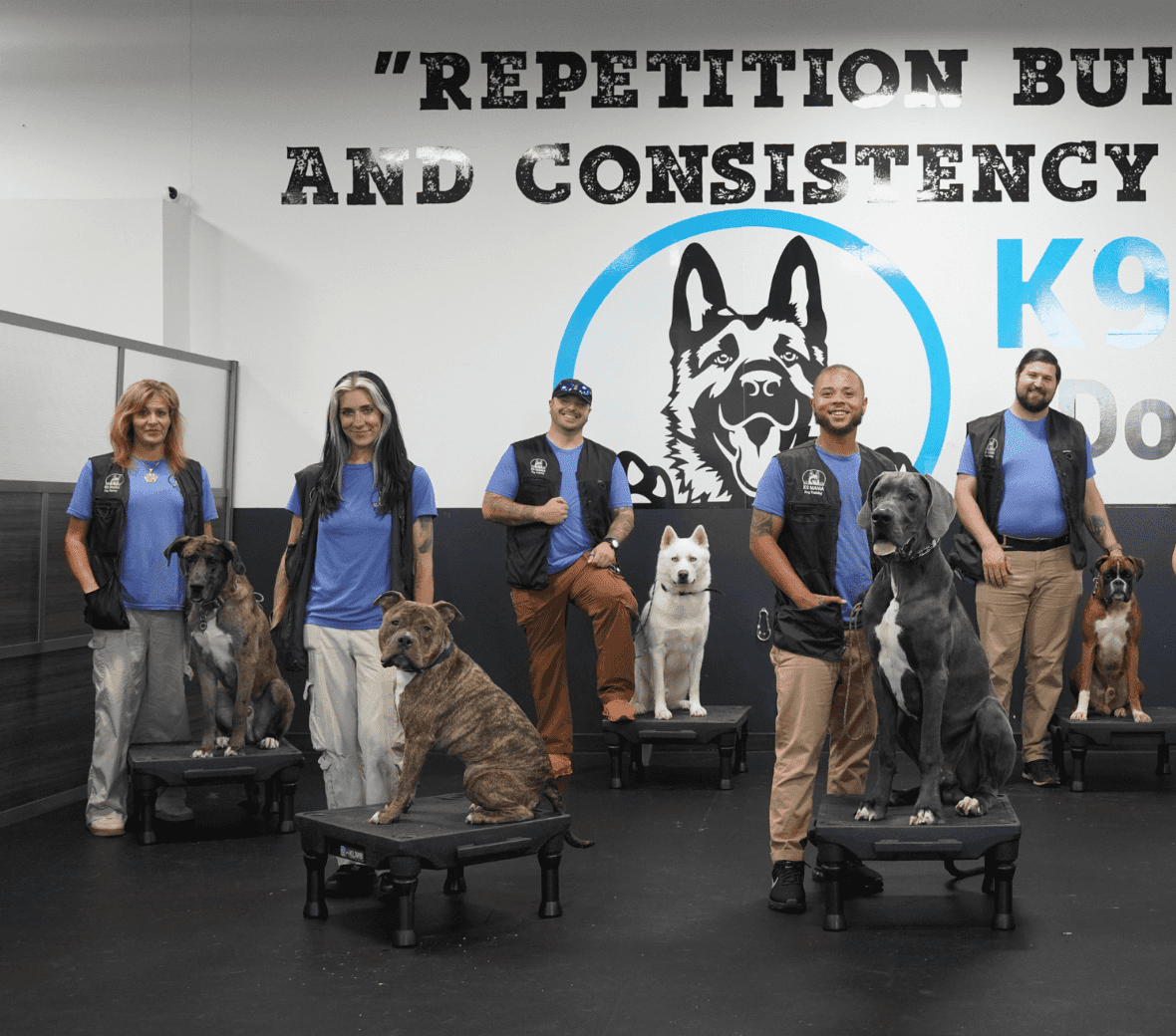 Board And Train Herricks, NY 3 Six people wearing blue vests stand and smile with six dogs of various breeds sitting on platforms in a training facility. A large sign behind them reads "REPETITION BUILDS AND CONSISTENCY".
