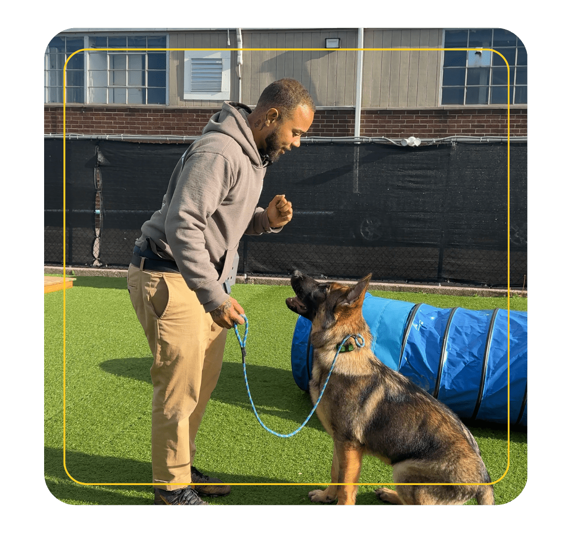 Board And Train Herricks, NY 4 A man in a gray hoodie and khaki pants stands on green artificial turf, holding a leash and giving commands to a sitting German Shepherd. A blue agility tunnel is in the background, with buildings and a fence behind them.