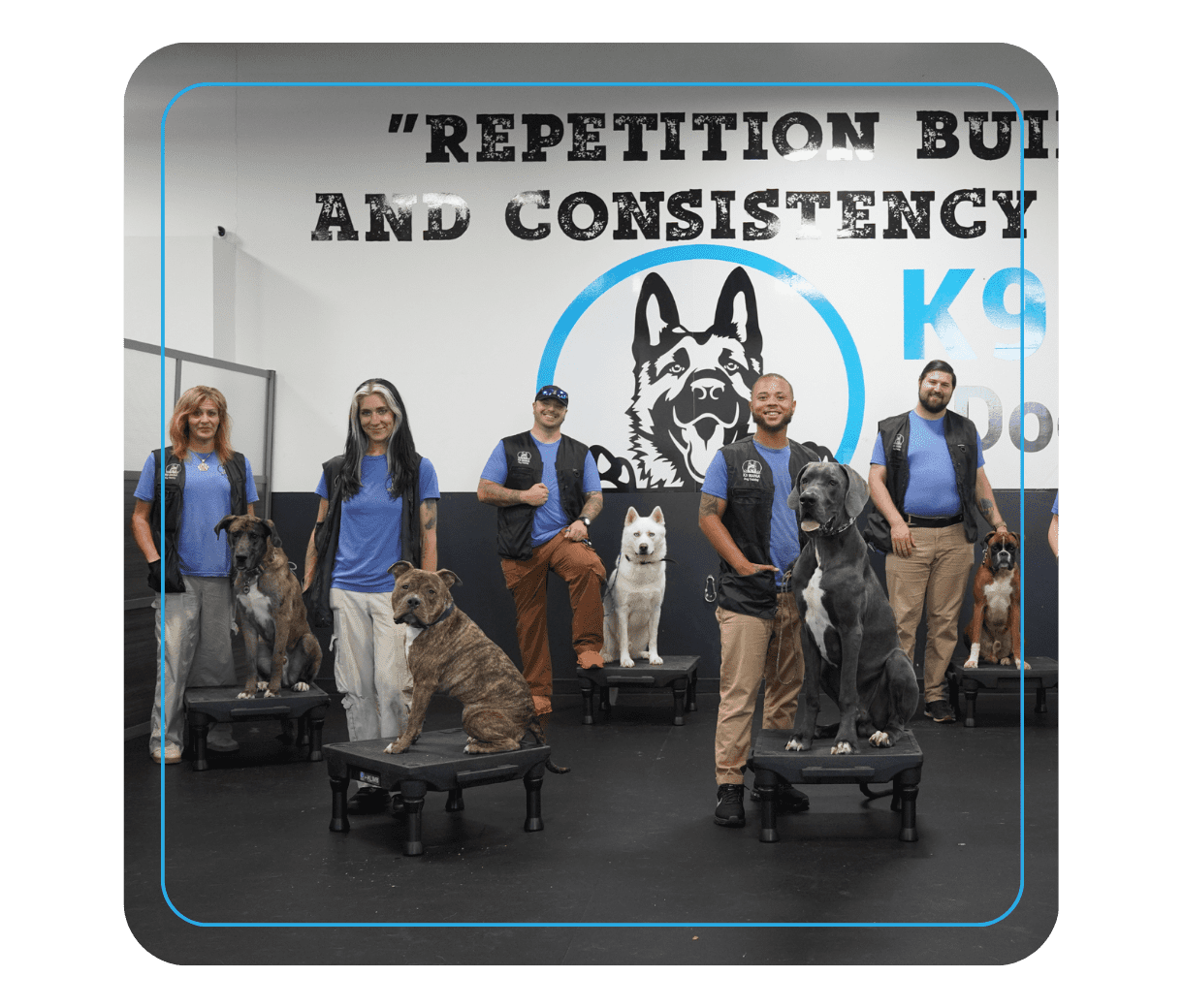 Board And Train Herricks, NY 2 A group of five trainers in blue shirts stand with six dogs of various breeds and sizes in front of a mural featuring a dog's face and the words "Repetition Builds And Consistency" in a training facility.