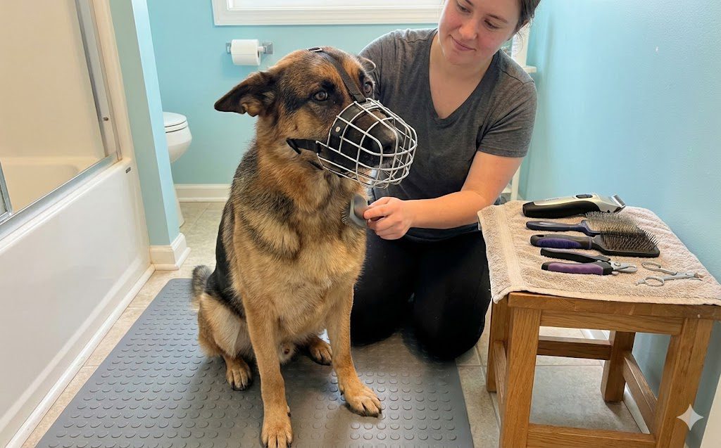 A German Shepherd wearing a muzzle sits on a mat in a bathroom while a woman kneels beside him. Grooming tools are neatly arranged on a towel on a small wooden stool nearby.