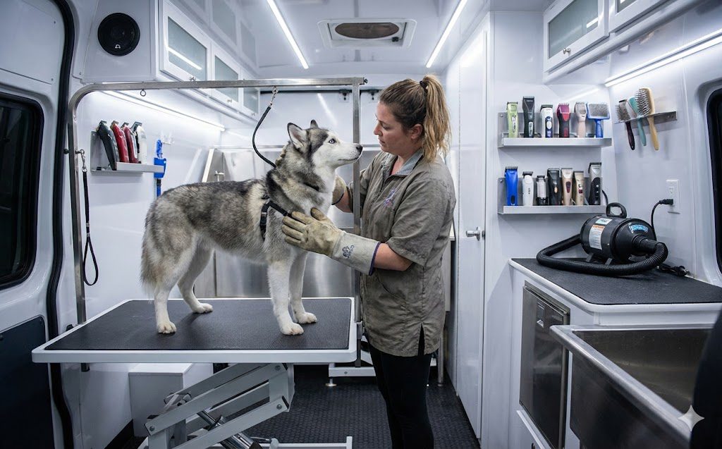 Grooming Aggressive Dogs: Safe Techniques and Professional Tips 4 A woman groomer stands beside a Husky dog on a grooming table inside a well-equipped mobile pet grooming van, with various tools and supplies visible in the background.