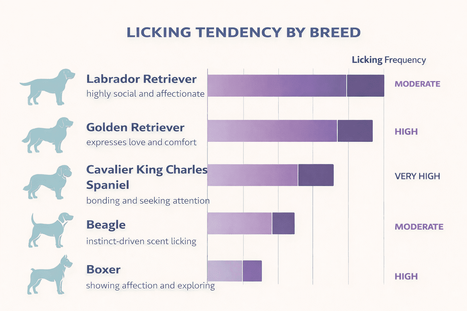 Why Does My Dog Lick Me So Much? Understanding Your Dog's Behavior 6 Infographic showing five dog breeds and their licking tendencies: Labrador Retriever (moderate), Golden Retriever (high), Cavalier King Charles Spaniel (very high), Beagle (moderate), Boxer (high). Each has a brief description.