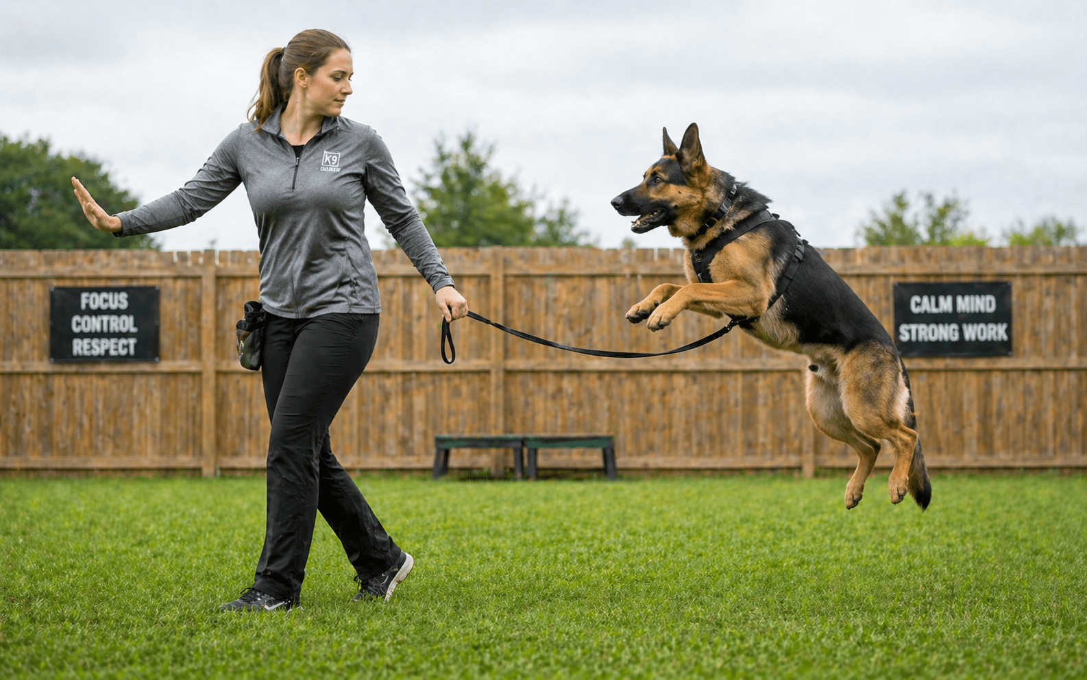 How High Can a Dog Jump? Breed Facts, Fence Heights, and Training Tips 5 Dog trainer using leash to correct jumping behavior during private training session