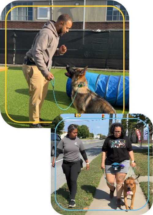 Our Certification 11 Top: A man trains a German Shepherd to sit outdoors on grass. Bottom: Two women walk side by side on a sidewalk, each holding a leash with a dog.