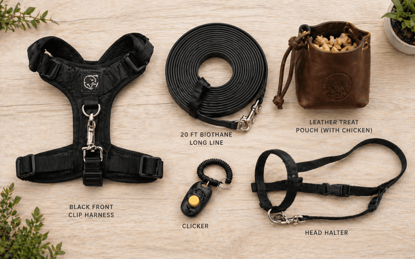 How to Stop a Dog from Chasing Cars: A Step by Step Guide 2 Flat lay of dog training tools including front clip harness leash and treats